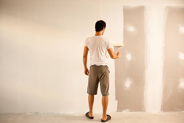 Best Drywall Removal and Disposal  in USA